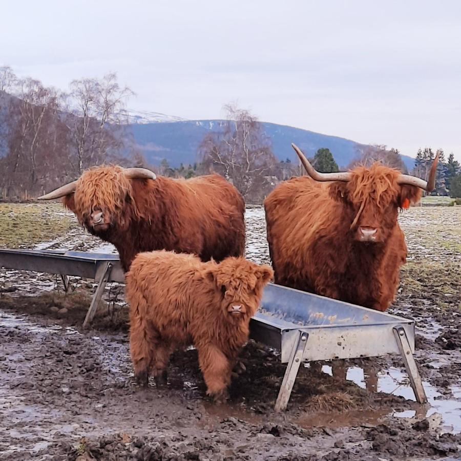 No 45, Ballater Exteriör bild
